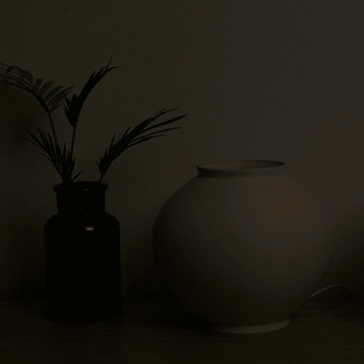 Large Moon Jar LED Ambient Lamp with Flower Holder